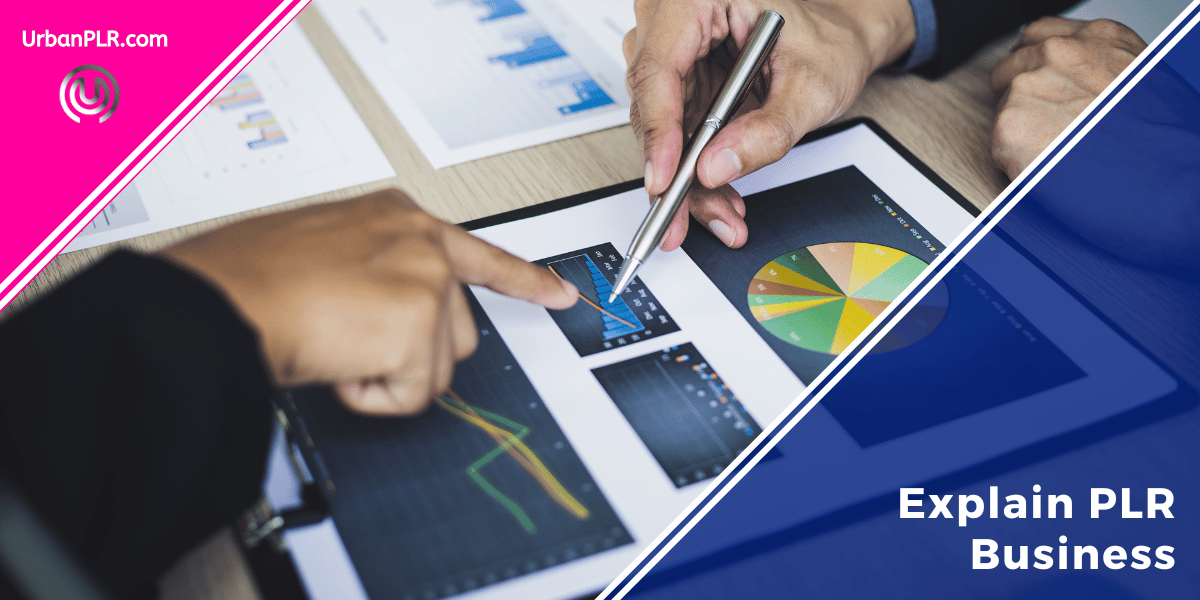 explain plr business